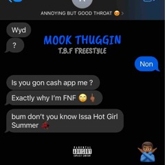 Mook Thuggin - TBF Freestyle (Thot Bitch Free)