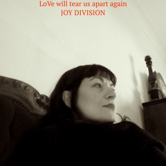 Love Will Tear Us Apart COVER