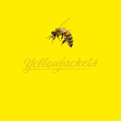 Yellow jackets
