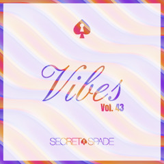 Vibes Vol.43