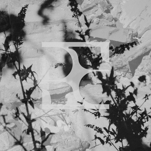 Black Label Series 08 - MXC (BPBL08) - CLIPS