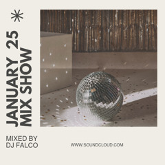 DJ Falco Mixshow January 2025 (Robin Schulz, Purple Disco Machine, James Hype, Yolanda be Cool....