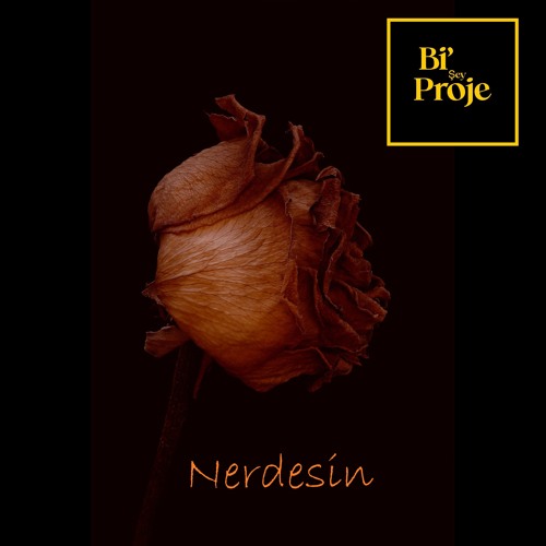 Derdim (Remix)