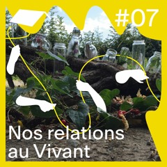 Récolte #07 - Nos relations au Vivant