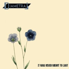 IT WAS NEVER MEANT TO LAST - Single Mix (2021)
