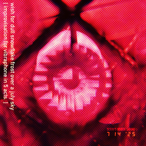 wish for dull snowflake frost over a july sky [ 5 acts - improvisation for vibraphone - 2025.7.15 ]