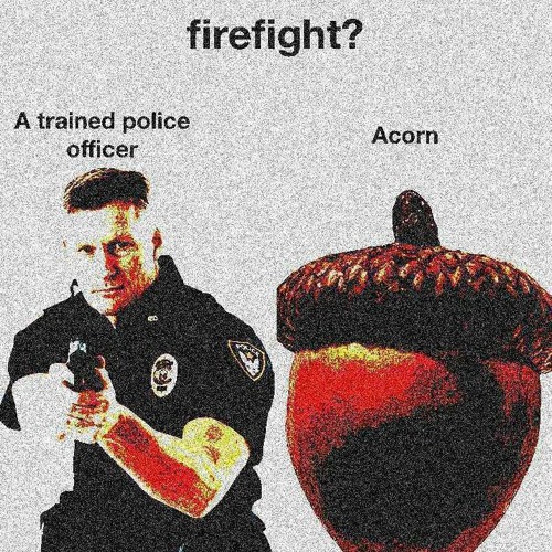 When you find out the acorn is black 🤣🤣🤣🤣🔥🔥🔥🔥🔥🔥🔥🤓🤓🤓🤓🤓        🤫🧏‍♂️