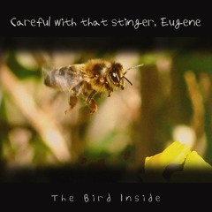 Careful With That Stinger Eugene