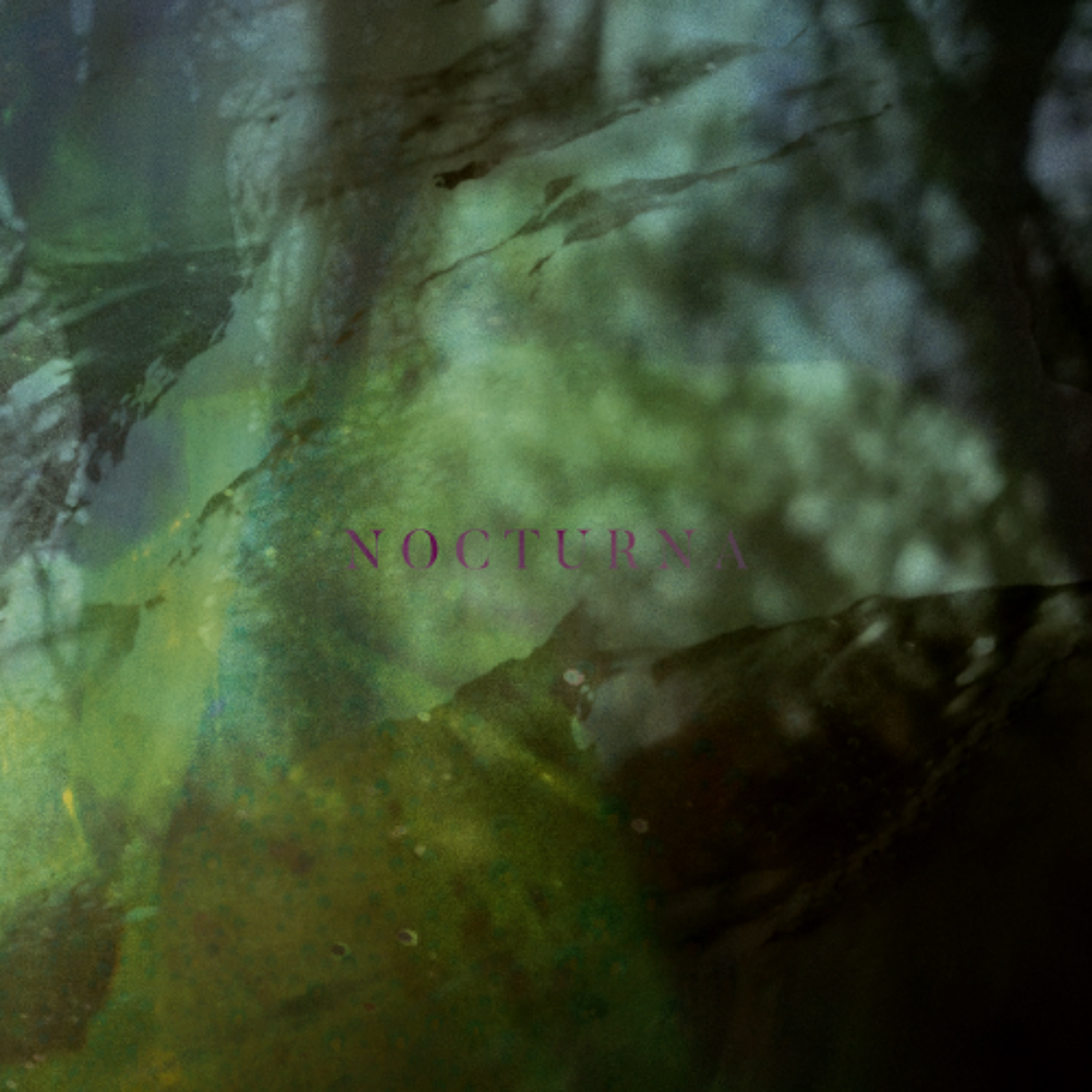 Nocturna episode artwork