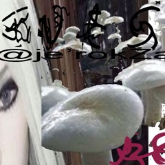 TᗩᒪK ᗯIᒪᗪ .. ꪻꪖꪶᛕ ᭙꠸ꪶᦔ_ꪻꪖꪶᛕ ᭙꠸ꪶᦔ_ꪻꪖꪶᛕ ᭙꠸ꪶᦔ