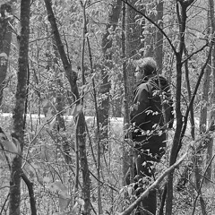 Door County Real Estate (cover)