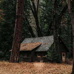 شعبان | د. أحمد سيف الإسلام