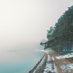 Wake Me Up Before You Gogo 2