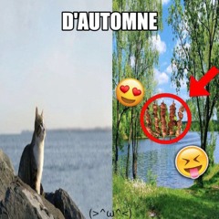 d'automne w/ Meji