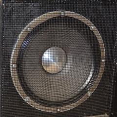 THE BASS GOD (Tenshixgod)