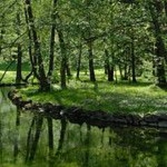 ambient piano _ silver line