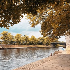 Birkham - BBC introducing minimix