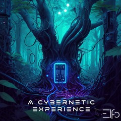Elfo - A Cybernetic Experience (SET)