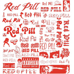 Redpill (Prod.Brutha5ive)