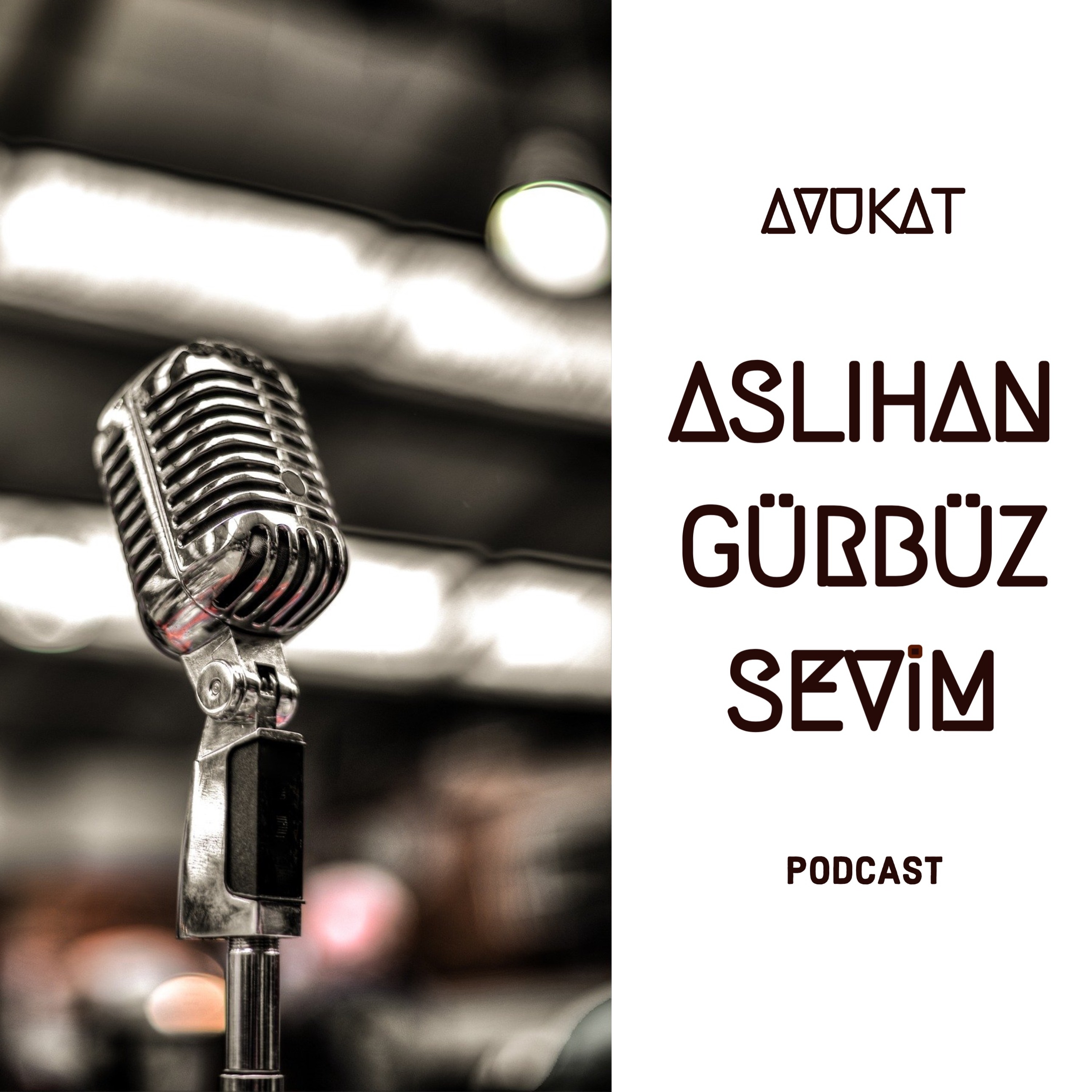Aslıhan Gürbüz Sevim