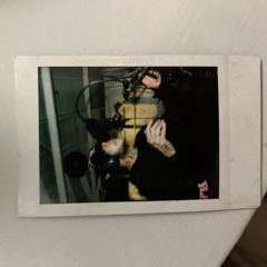 SHH prod. dirtymirrors