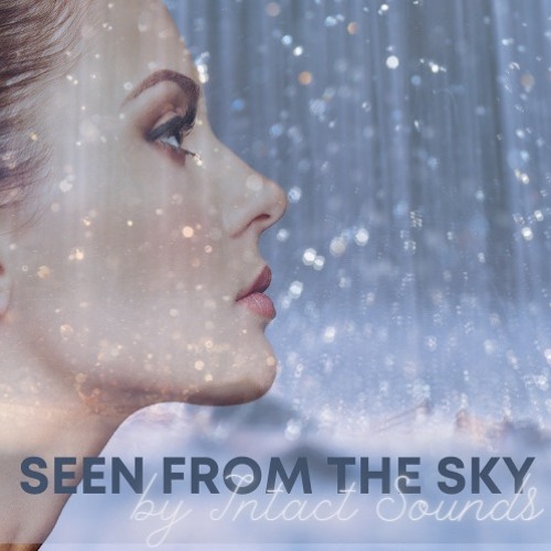 Seen From the Sky by Intact Sounds
