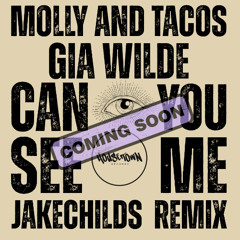 Can You See Me Jake Childs remix