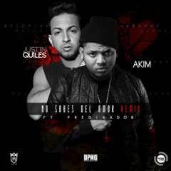 No Sabes del Amor (Remix) [feat. Predikador]