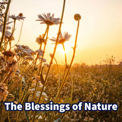 The Blessings of Nature