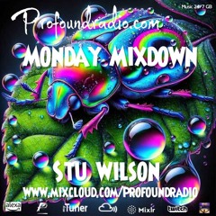 #264 Profound Radio Progressive  House @djstuwilson
