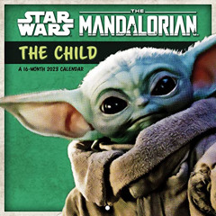 View PDF 🖌️ 2023 Star Wars: The Mandalorian - The Child Wall Calendar by  Trends Int