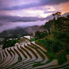 syndae - episode 727