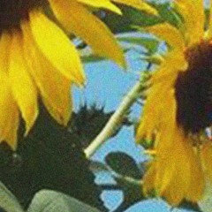 problems(Prod. In Bloom)