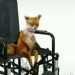 Ylvis - The Fox (PZZS Remix)