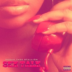 Megan Thee Stallion - SEX TALK(moody remix)
