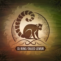 DJ Ring-Tailed Lemur | Ecstatic Dance Demo