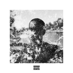 Tru-Lee & Tyler Brimley - Leaves (Full Album)