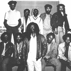 The Naturalites - Guide Me With The Tide