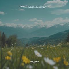 Rossalto - Air (Pinkowitz Remix) [3rd Avenue]