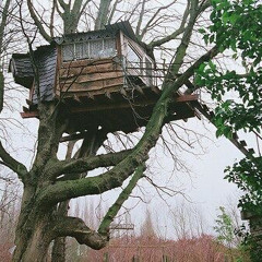 treehouse - Alex G