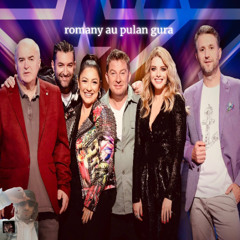 3. petrika ai pula mika