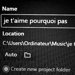 je t'aime pourquoi pas