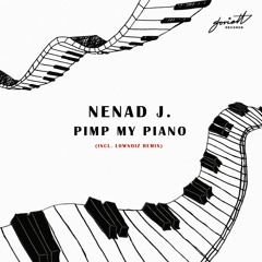 Pimp My Piano (LowNoiz Heavy Filtered Remix)
