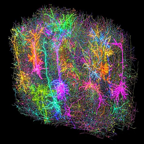 Eclectic current – Calculations in collapsing space