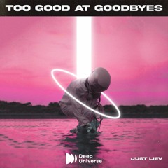 Too Good At Goodbyes