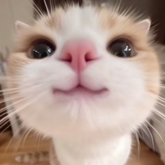 iu iu iu so cute