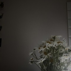 пушистые льдинки (prod. дистомия)