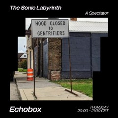 The Sonic Labyrinth #23 - The House That Detroit Built - live at Echobox Radio
