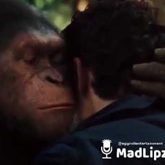 APE ASKS FOR SEX