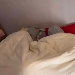 PLAYLIST 이거 들으면 팝송에 빠진다 팝송1hour